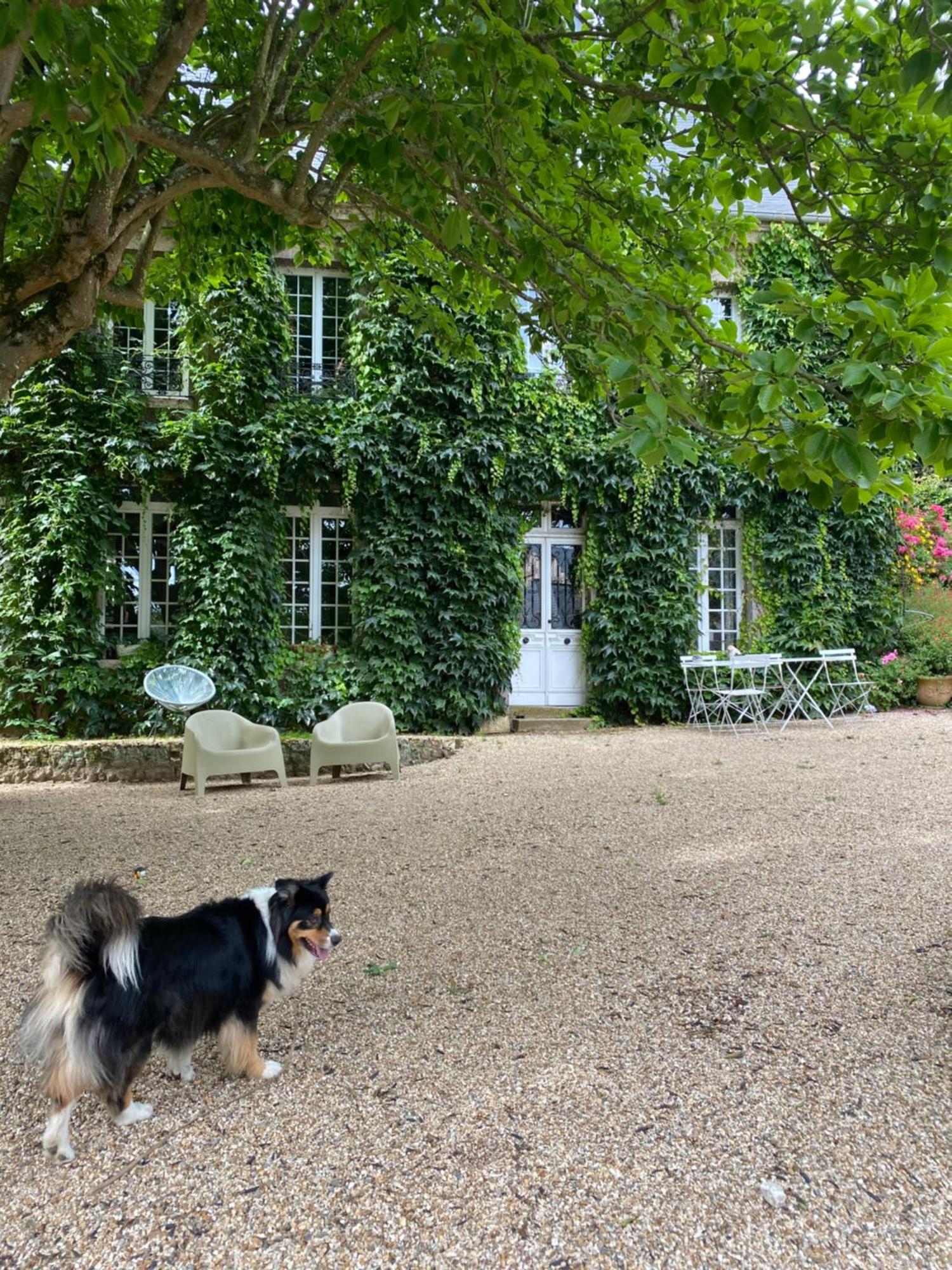 La Benjamine Bed & Breakfast Cany-Barville Bagian luar foto