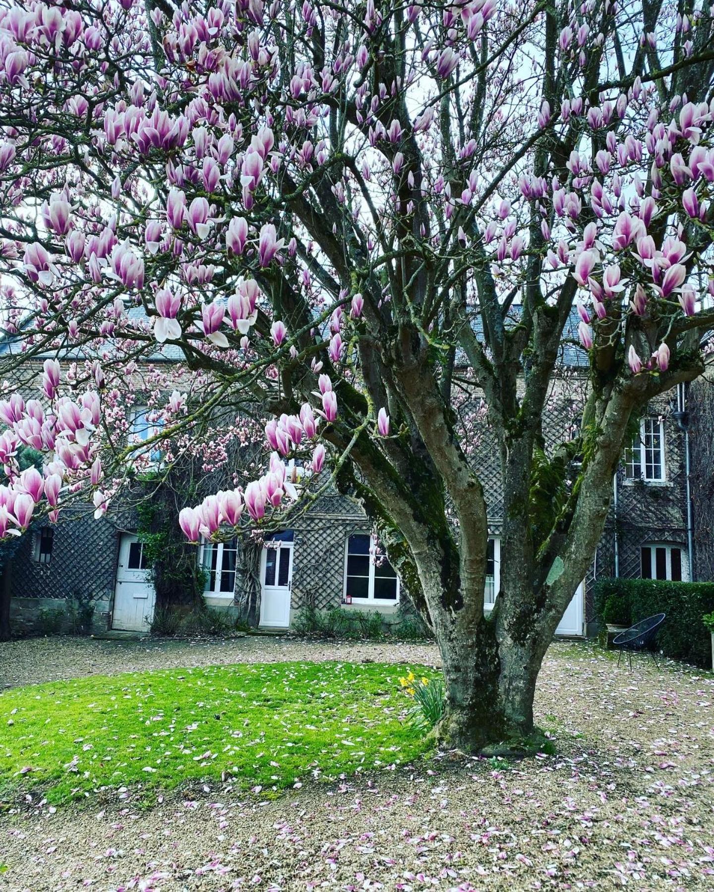 La Benjamine Bed & Breakfast Cany-Barville Bagian luar foto